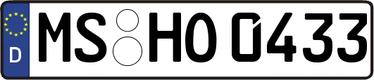 MS-HO0433