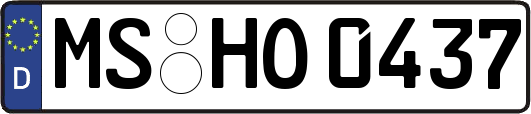 MS-HO0437