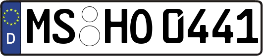 MS-HO0441