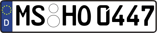 MS-HO0447