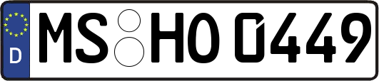 MS-HO0449