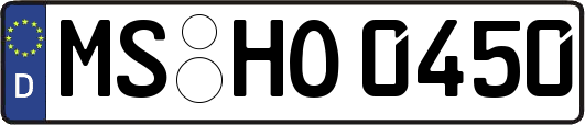 MS-HO0450