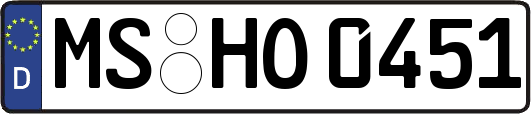 MS-HO0451