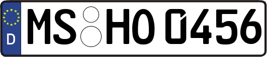 MS-HO0456