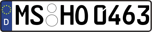 MS-HO0463