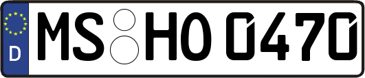 MS-HO0470