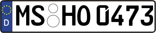 MS-HO0473