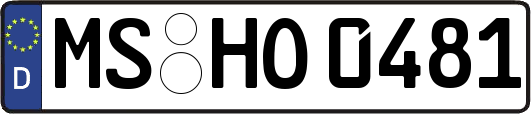 MS-HO0481