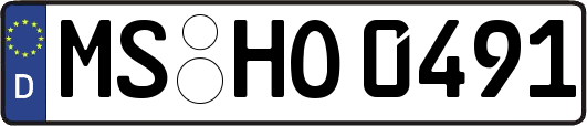 MS-HO0491