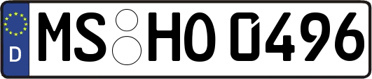 MS-HO0496