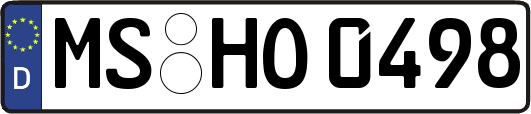 MS-HO0498