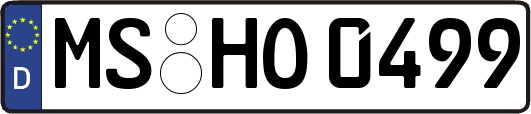 MS-HO0499