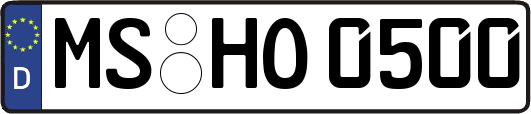 MS-HO0500