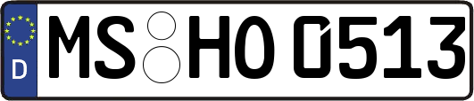 MS-HO0513