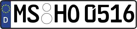 MS-HO0516