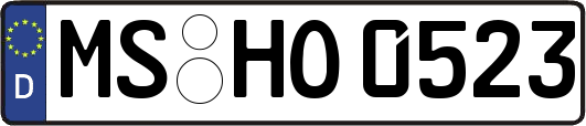MS-HO0523