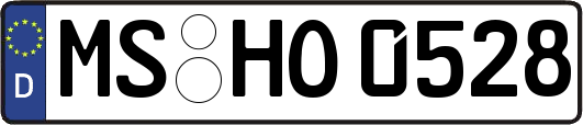 MS-HO0528