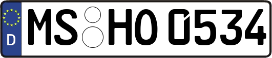 MS-HO0534