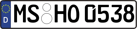 MS-HO0538