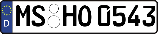 MS-HO0543
