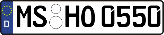 MS-HO0550