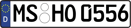 MS-HO0556