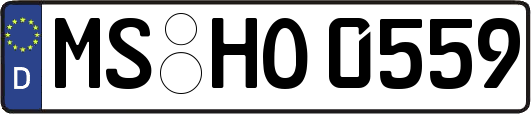 MS-HO0559