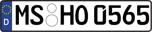 MS-HO0565