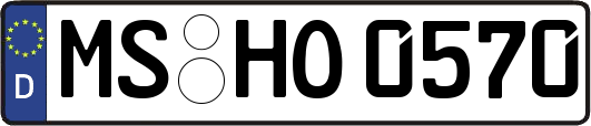 MS-HO0570