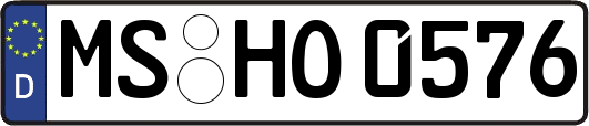 MS-HO0576