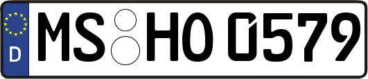 MS-HO0579