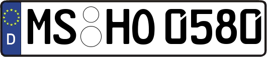 MS-HO0580