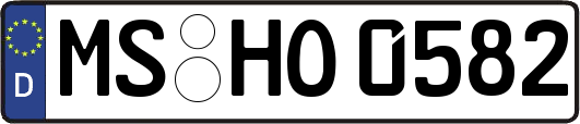 MS-HO0582
