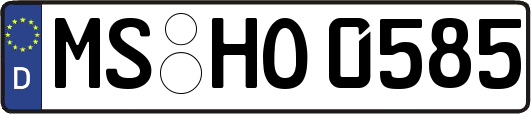 MS-HO0585