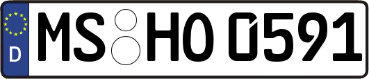 MS-HO0591