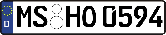 MS-HO0594
