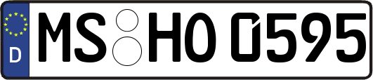 MS-HO0595