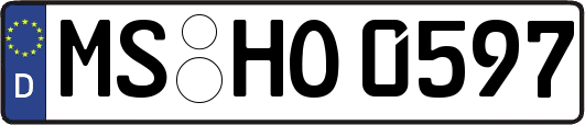 MS-HO0597