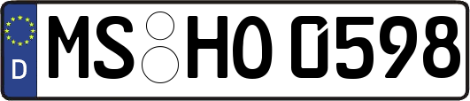 MS-HO0598