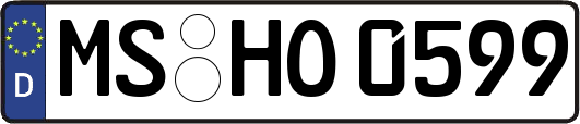 MS-HO0599