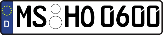 MS-HO0600
