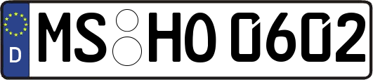 MS-HO0602