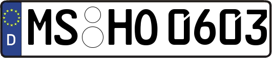 MS-HO0603