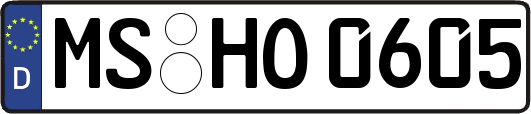 MS-HO0605