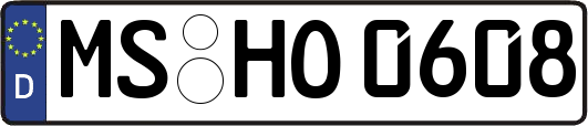 MS-HO0608