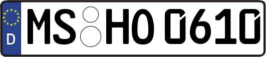MS-HO0610