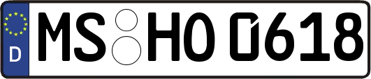 MS-HO0618