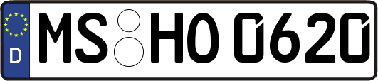 MS-HO0620