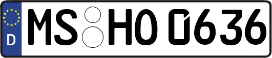 MS-HO0636