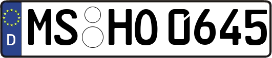 MS-HO0645